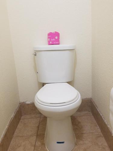 a white toilet with a pink box on top of it at Hotel Sunrise in San Francisco