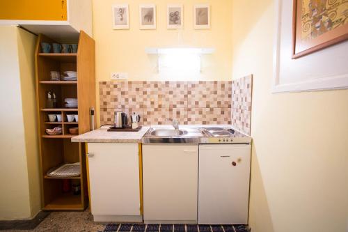 Kuchyň nebo kuchyňský kout v ubytování Apartment Villa Vltava