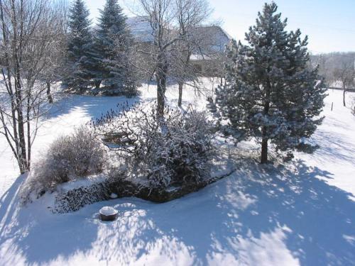 a snow covered yard with trees and a house at Gite du Repos in Amondans