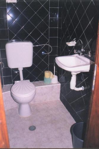a bathroom with a toilet and a sink at Guest House Orbita in Tyulenovo