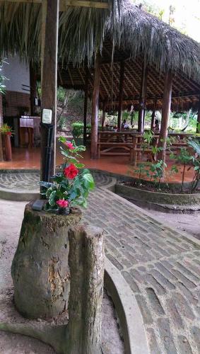a tree stump with a planter with flowers on it at Hosteria Cumilinche in Same