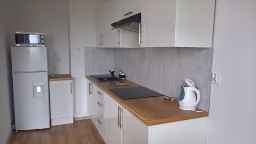 Kuchyň nebo kuchyňský kout v ubytování Top Oder Apartments- private parking