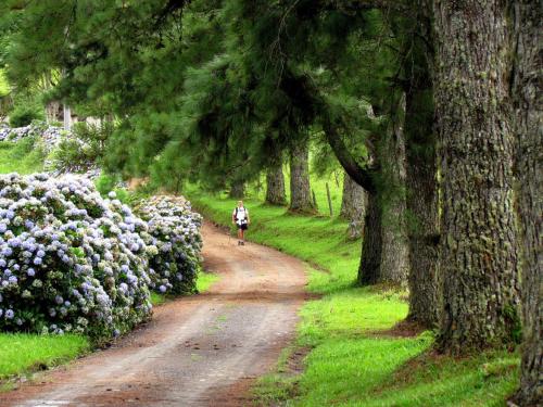 a person riding a bike down a dirt road with flowers at Blue Hill Hotel in Timbó