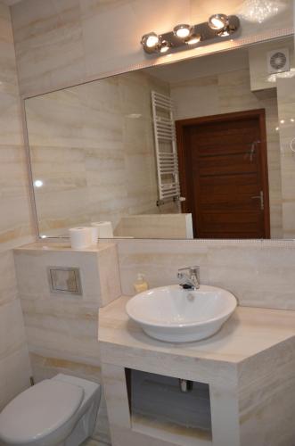 a bathroom with a sink and a toilet and a mirror at Luksusowy Apartament przy Plaży Niegocin in Giżycko