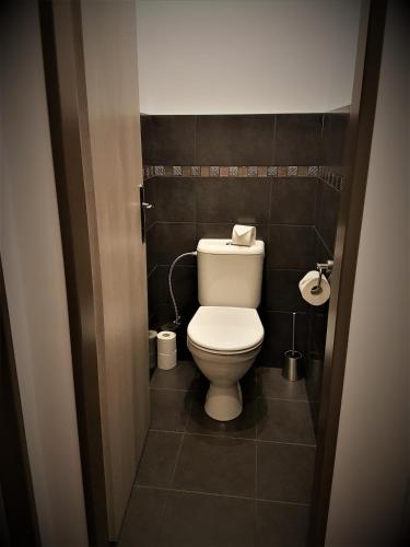 a bathroom with a toilet in a small room at Golden Key Apartments in Liberec