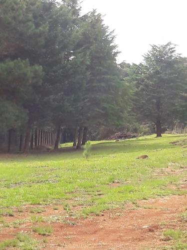 Landskap semula jadi dekat dengan lodge