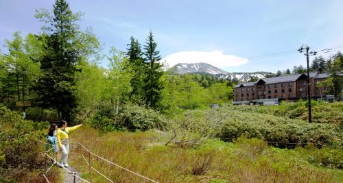 a woman is flying a kite in a field at Higashikawa Asahidake Onsen Hotel Bear Monte in Higashikawa