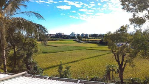 a view of a field of grass with trees at Taitung Travel Hostel in Taitung City