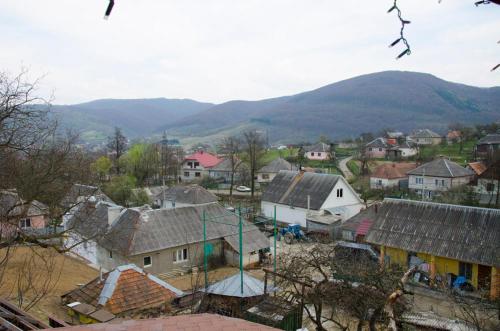 Gallery image of Liubava in Polyana