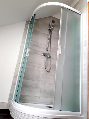 a shower with a glass door in a bathroom at Králova Výšina in Ústí nad Labem