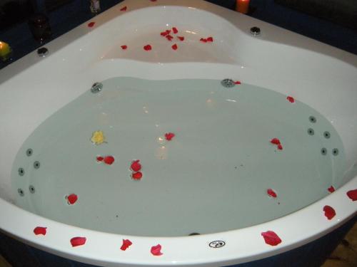 a white bath tub filled with red bleeding hearts at In our backyard - Metula in Metulla