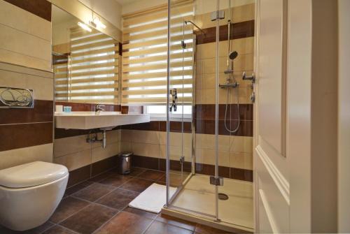 什平德萊魯夫姆林的住宿－Pension Villa Miluška，一间带卫生间和玻璃淋浴间的浴室