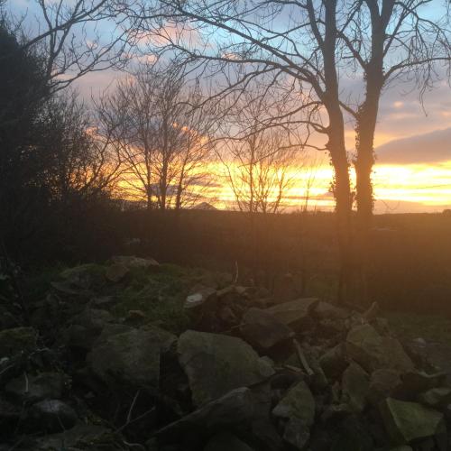 Gambar di galeri bagi Westport Glamping at Doon Angus Farm di Westport