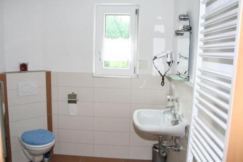 ボーデンマイスにあるFW Bodenmaiser Blickの白いバスルーム(トイレ、シンク付)