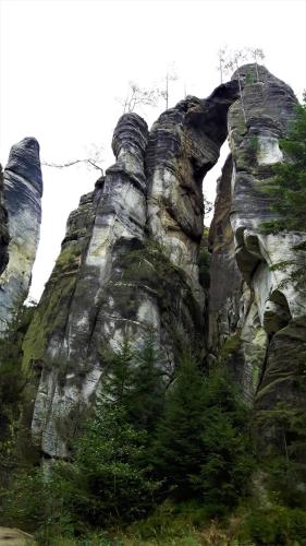 Un paisaje natural cerca del departamento