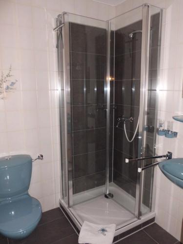 a bathroom with a shower with a toilet and a sink at Landhaus Enztalperle in Enzklösterle