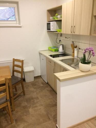 Kolibri Apartment tesisinde mutfak veya mini mutfak
