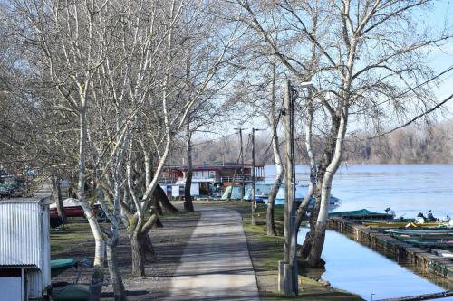 a walking path next to a lake with trees at Ladik Vendégház in Tiszafüred