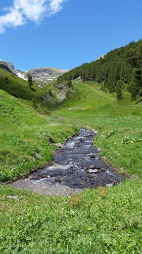a stream in a grassy field next to a hill at Chalet Bodenwald in Grindelwald