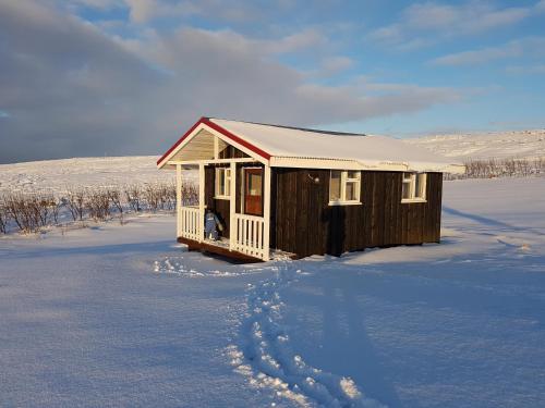 a small house in the snow in a field at Grásteinn Guesthouse in Þórshöfn