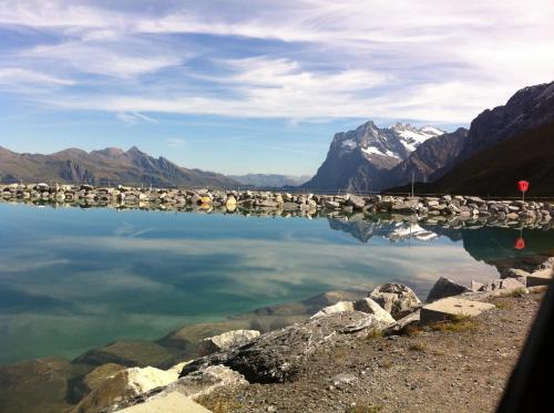 a group of birds sitting on a dock in the water at Chalet Bodenwald in Grindelwald