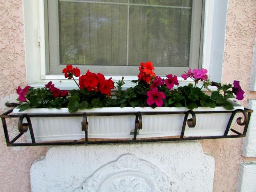 a window box with flowers on a window sill at Old Town in Izmail
