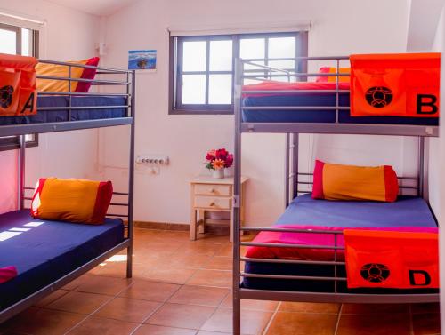Pokój z 3 łóżkami piętrowymi i kolorowymi poduszkami w obiekcie La Tortuga Hostel w Adeje