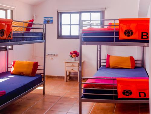 Postel nebo postele na pokoji v ubytování La Tortuga Hostel