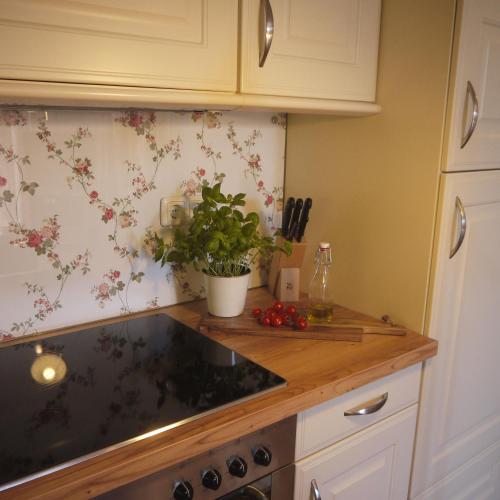 a kitchen counter with a plant on the wall at Inselferien Micheel in Burg auf Fehmarn