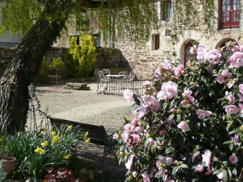 a bench in a garden with pink roses at B&B DINAN la priquetais in Trévron