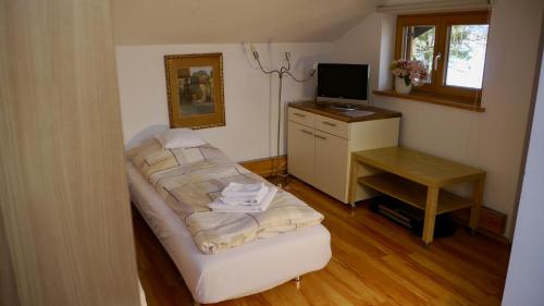 Cette chambre comprend un lit, un bureau et une télévision. dans l'établissement Apartment Kobellstrasse, à Rottach-Egern