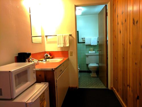 uma casa de banho com um lavatório, um WC e um micro-ondas em Prospector Motor Lodge em Blanding