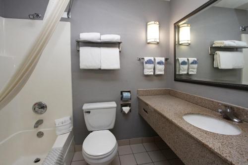 y baño con aseo, lavabo y espejo. en New Victorian Inn - Sioux City, en Sioux City