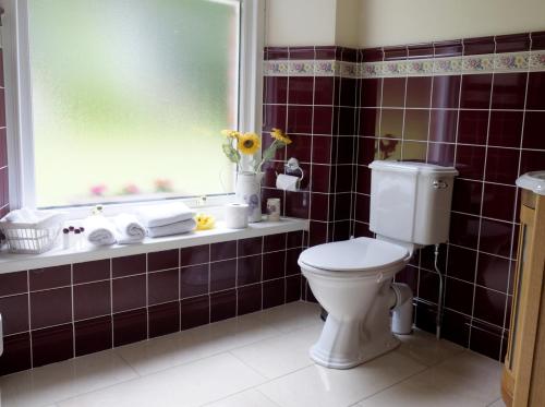 a bathroom with a toilet and a window at Oranmore in Ballymena