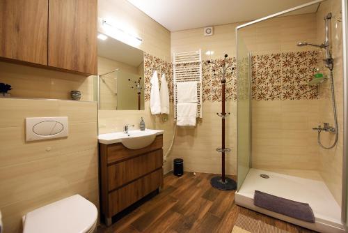 ein Bad mit einer Dusche, einem WC und einem Waschbecken in der Unterkunft Butas Druskupio in Birštonas