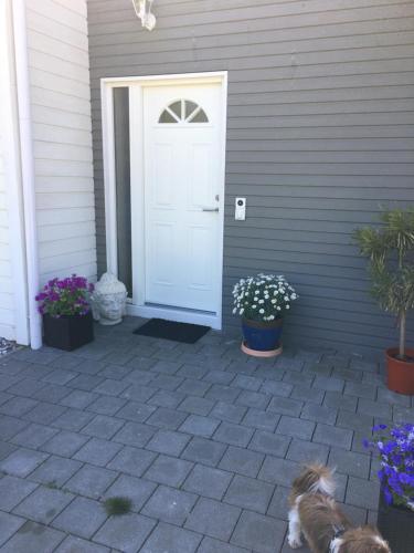 a dog laying in front of a white door at Chambre Zen Et Calme in Bouveret