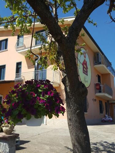 a building with a tree with flowers in front of it at La Casa di Ninna Affittacamere in Ariano Irpino