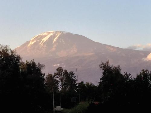 a snow covered mountain with trees in the foreground at More Than A Drop in Moshi