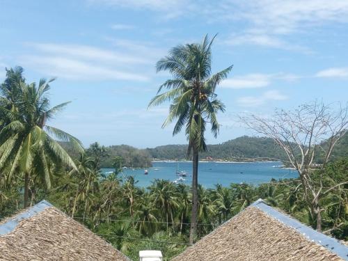 a palm tree in front of a body of water at Dahilig Resort in Puerto Galera