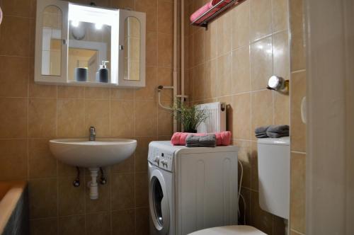 布达佩斯布达佩斯中心脉动生命公寓的带水槽和洗衣机的浴室