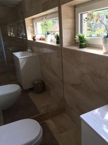a bathroom with a toilet and a window with potted plants at The Lake House in Fonyód