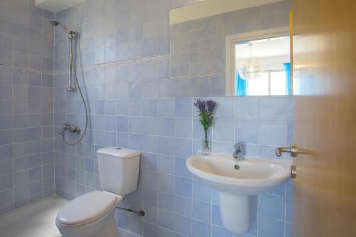 uma casa de banho em azulejos azuis com um WC e um lavatório em Villa Iris em Mazotos