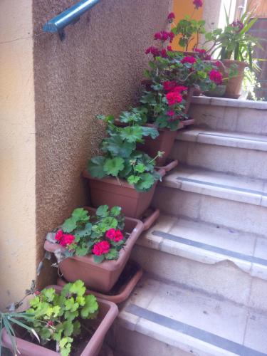 Fotografie z fotogalerie ubytování Mariam Hotel v destinaci Madaba