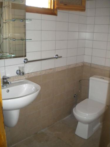 un bagno con WC e lavandino di Theasea a Párga