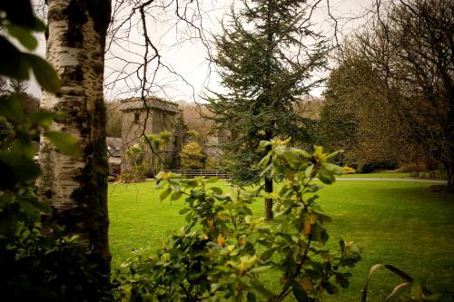 a green field with trees and a building in the background at Mills Inn in Ballyvourney