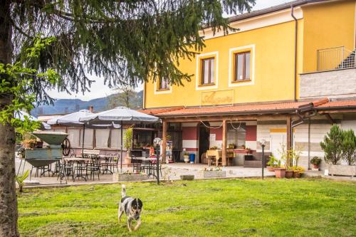 a dog walking in the grass in front of a building at Affittacamere Dell'Autista in Brugnato