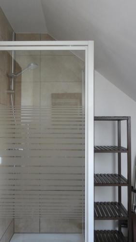 a shower with a glass door in a bathroom at Ferienwohnung Freitag in Gammendorf
