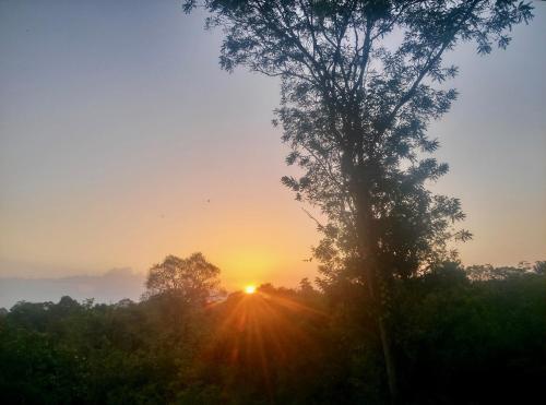 a sunset with a tree in the foreground at Kuwera Eco Lodge in Sigiriya
