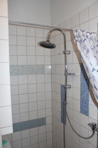 a shower in a bathroom with a shower curtain at Gästewohnung Müntzer in Lutherstadt Wittenberg