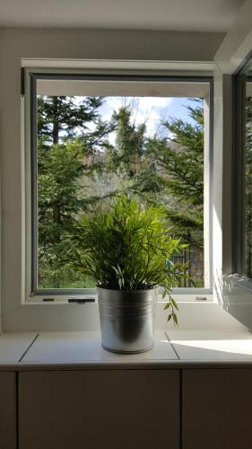a potted plant sitting on a window sill at Apartments Garden Zagreb in Zagreb